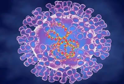 多国报告的猴痘是什么疾病？如何预防？